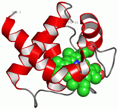 Image Asym./Biol. Unit - manually