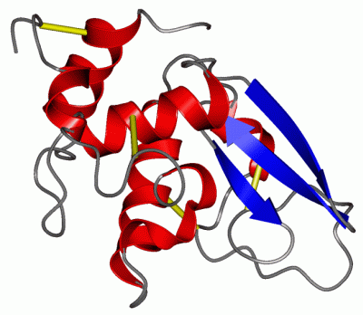 Image Asym./Biol. Unit - manually