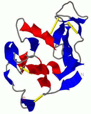 Image Asym./Biol. Unit - manually