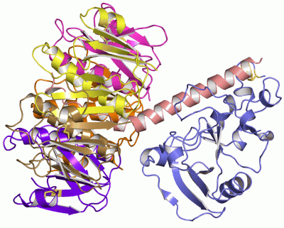 Image Asym./Biol. Unit - manually