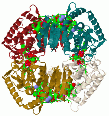 Image Biol.Unit 1 - manually