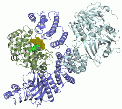 Image Asym./Biol. Unit - manually