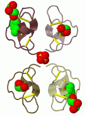 Image Biol.Unit 1 - manually