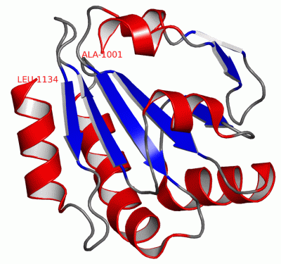 Image Asym./Biol. Unit - manually