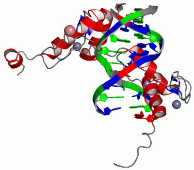 Image Biol.Unit 1 - manually