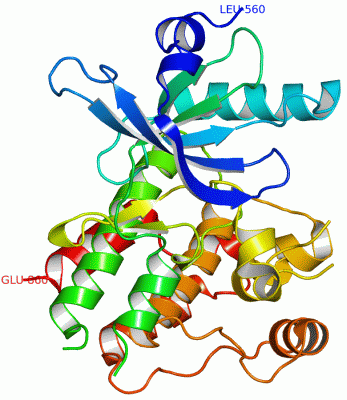 Image Asym./Biol. Unit - manually