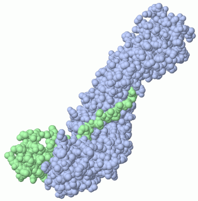 Image Asym./Biol. Unit - manually