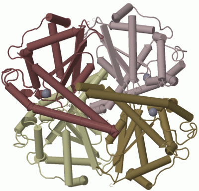 Image Biol.Unit 1 - manually