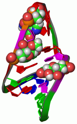 Image NMR Structure - manually