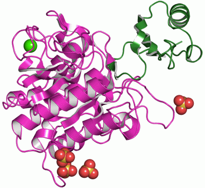 Image Asym./Biol. Unit - manually