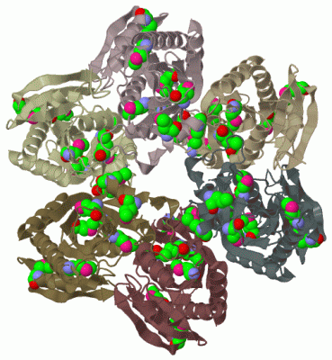 Image Biol.Unit 1 - manually