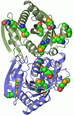 Image Asym.Unit - manually