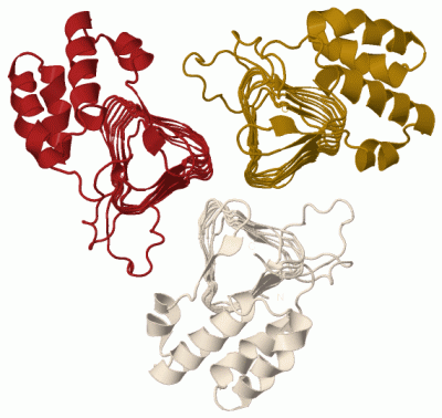 Image Biol.Unit 1 - manually