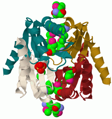Image Biol.Unit 1 - manually
