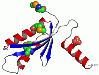 Image Asym.Unit - manually
