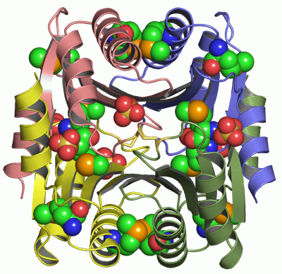 Image Asym.Unit - manually
