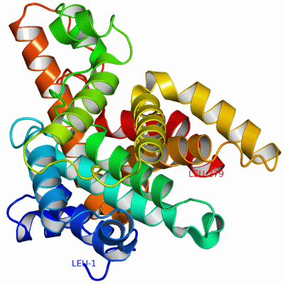 Image Theor.Model - manually