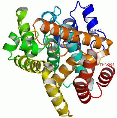 Image Theor.Model - manually