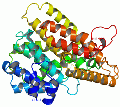 Image Theor.Model - manually