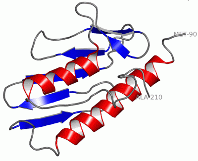 Image NMR Structure - manually