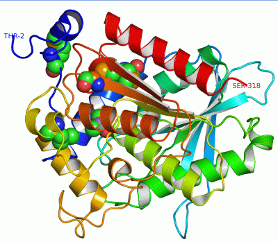 Image Asym./Biol. Unit - manually