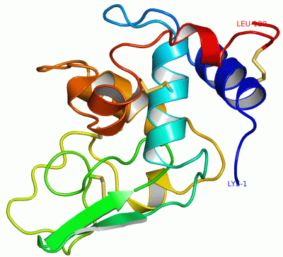 Image Asym./Biol. Unit - manually