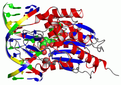 Image Asym./Biol. Unit - manually