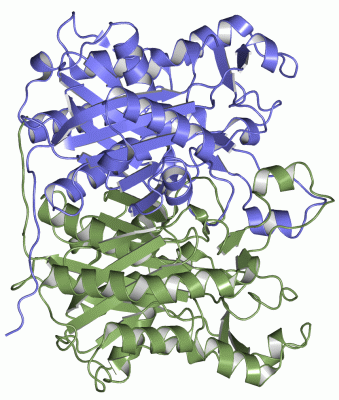 Image Asym./Biol. Unit - manually