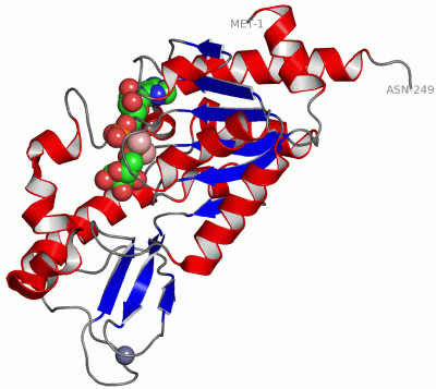 Image Asym./Biol. Unit - manually