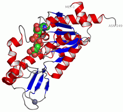 Image Asym./Biol. Unit - manually