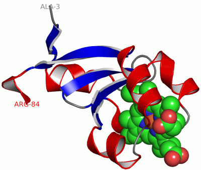 Image Asym./Biol. Unit - manually