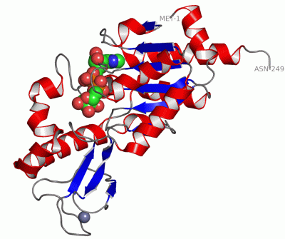 Image Asym./Biol. Unit - manually