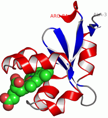 Image Asym./Biol. Unit - manually
