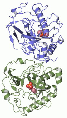 Image Asym./Biol. Unit - manually