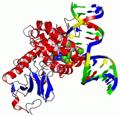 Image Asym./Biol. Unit - manually