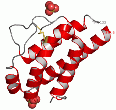 Image Asym./Biol. Unit - manually