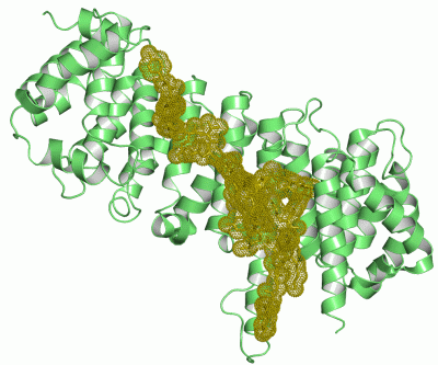 Image Asym./Biol. Unit - manually