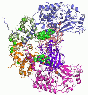 Image Asym./Biol. Unit - manually