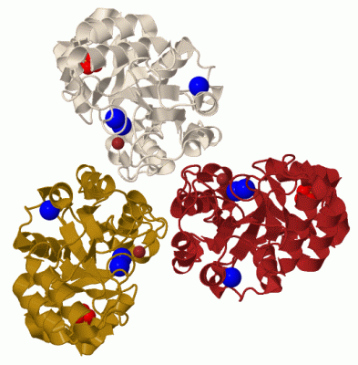 Image Biol.Unit 1 - manually