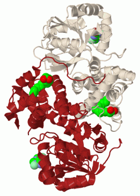 Image Biol.Unit 1 - manually