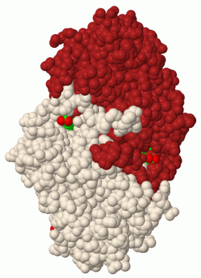 Image Biol.Unit 1 - manually