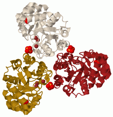 Image Biol.Unit 1 - manually