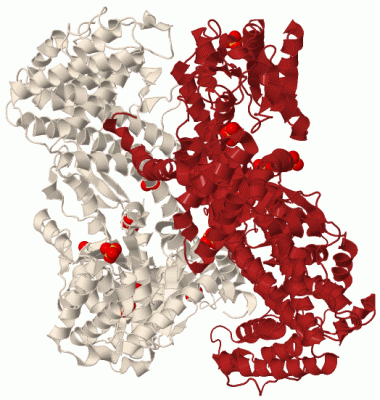 Image Biol.Unit 1 - manually