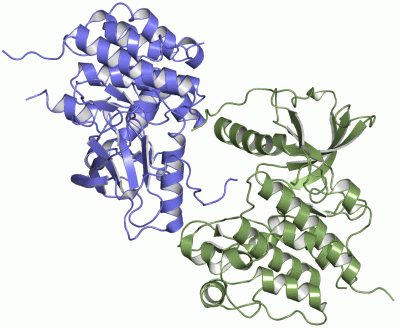 Image Asym.Unit - manually