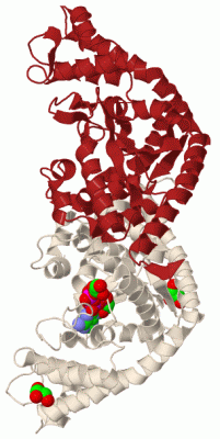 Image Biol.Unit 1 - manually