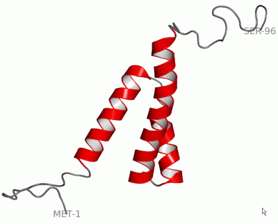 Image NMR Structure - manually