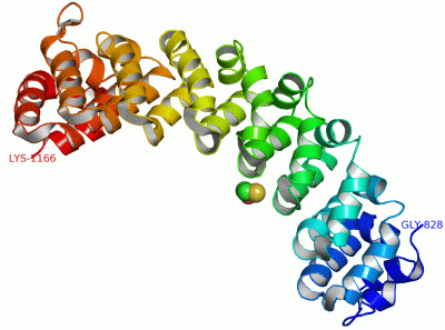 Image Asym./Biol. Unit - manually