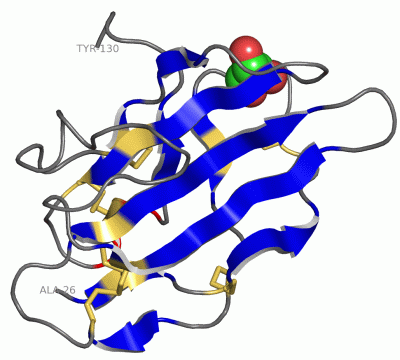 Image Asym./Biol. Unit - manually