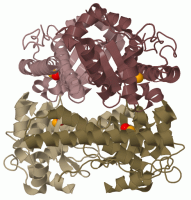 Image Biol.Unit 1 - manually