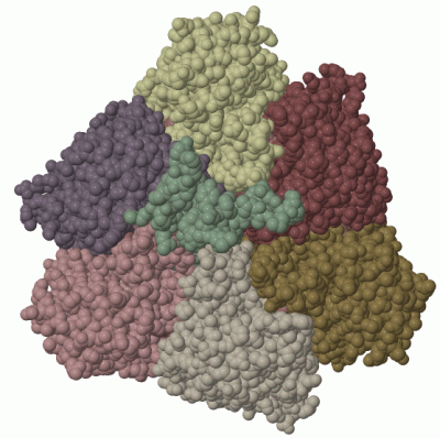 Image Biol.Unit 1 - manually